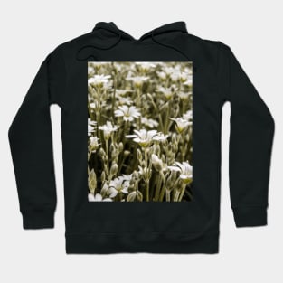 Green Minimalistic Flowers Hoodie